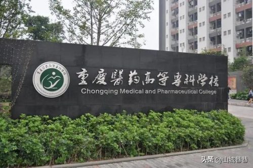 重庆职校星级排名前十(重庆排名前十的中学)插图5