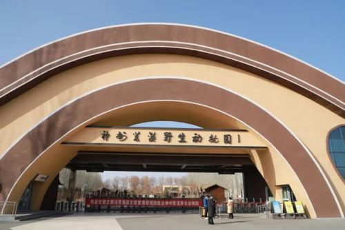 武威周边酒店排名前十(武威住宿哪里最便宜)插图15