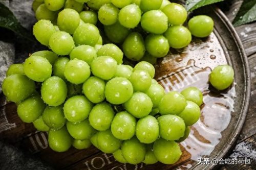 优质葡萄评奖排名前十(百元葡萄排行榜前十名)插图1