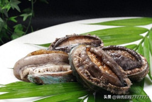 海洋好吃物种排名前十(海洋十大萌物排名)插图1