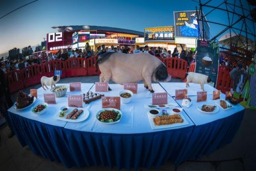 湘潭河口美食排名前十(湘潭有什么好吃的地方推荐)插图44