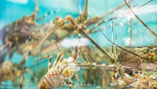 海丰本地饭店排名前十(海丰县排名前十的好吃餐厅)插图21