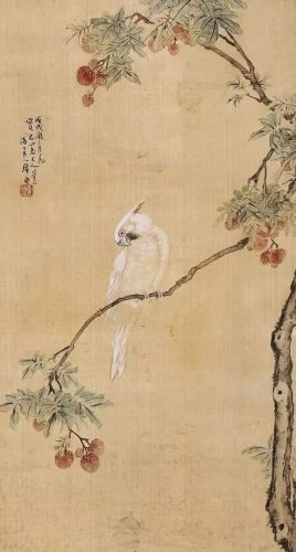 鹦鹉荔枝品种排名前十(最聪明的鹦鹉排名)插图6