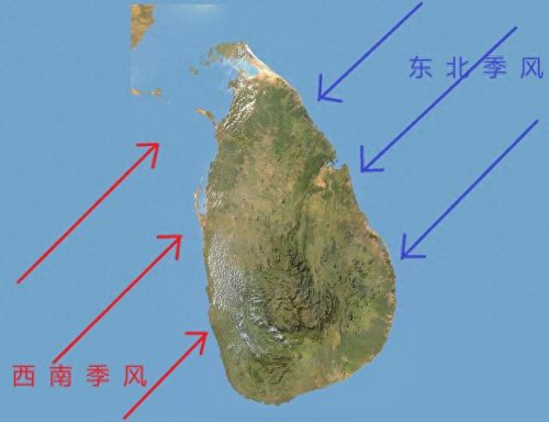 茶叶排名前十国家(十大品牌茶叶排名)插图2
