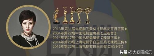 演员获奖含金量排名前十(中国电视好演员含金量高吗)插图29