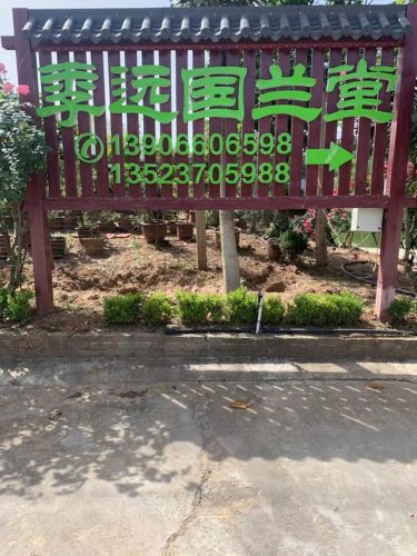 随州风水大师排名前十(随州楼盘墓地)插图