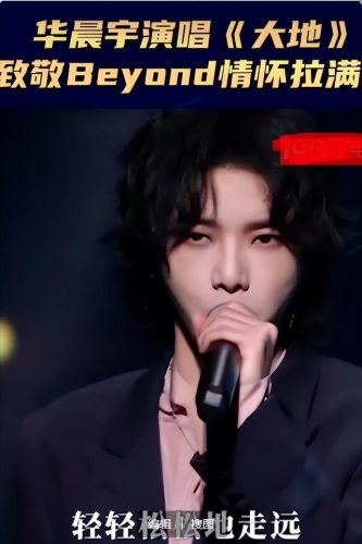 奇葩歌手高音排名前十(唱高音的女歌手)插图16