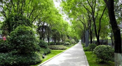 世界绿色街道排名前十(街道人口排名)插图3