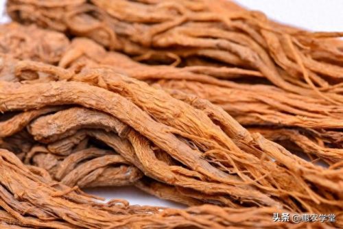 甘肃当归销量排名前十(甘肃当归粉)插图2