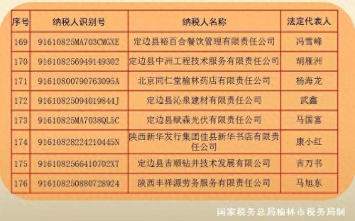 榆林企业税收排名前十(咸宁企业纳税排行)插图19