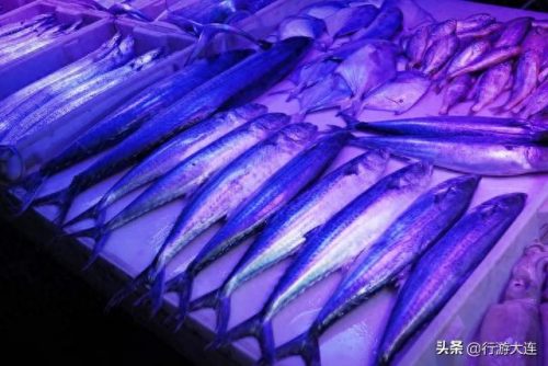 大连海鲜卖场排名前十(大连海鲜受日本辐射影响吗)插图18