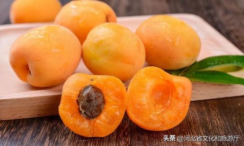 河北土特产排名前十(湖北特产有哪些土特产可以带走)插图9