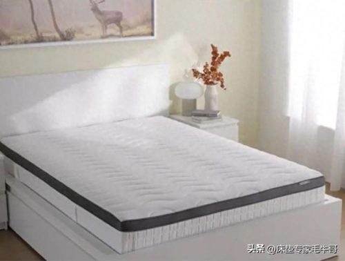 实惠平价床垫排名前十(萨普莎床垫全国排名)插图18