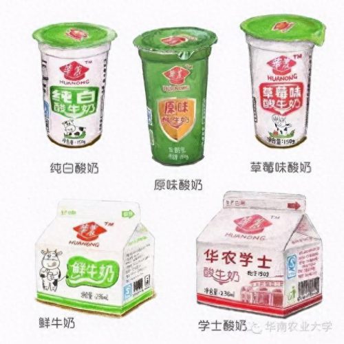 国内超市酸奶排名前十(超市酸奶品牌大全)插图7