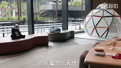 绥化亲子酒店排名前十(绥化康府大酒店)插图70