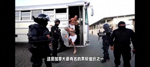 世界各大黑帮排名前十(古今世界十大黑帮排行榜)插图2