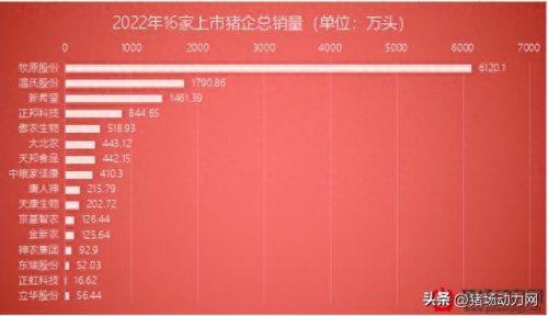 国内猪肉厂排名前十(中国十大猪肉厂家)插图
