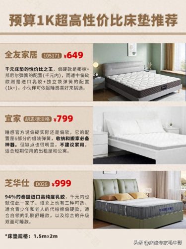 实惠平价床垫排名前十(萨普莎床垫全国排名)插图23