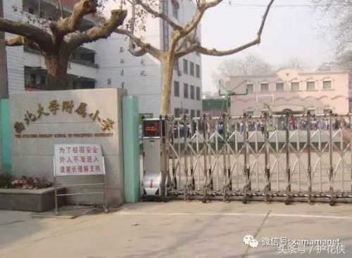 西安小学教科书排名前十(西安买学生用书在哪买)插图
