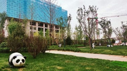 兰州城西小学排名前十(兰州市全部小学排名)插图5