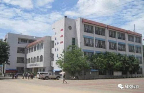 西双版纳中学排名前十(西双版纳最好的三个初中)插图15