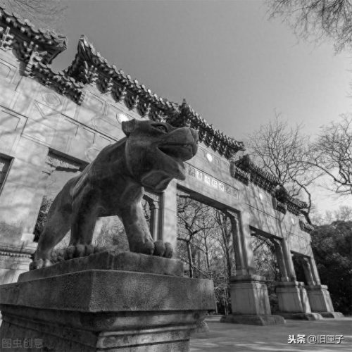 土匪火力排名前十(土匪排行榜前十名)插图3