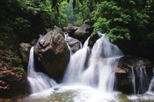 宜章高档餐厅排名前十(宜章餐厅推荐)插图2