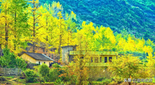 桂林各县景点排名前十(桂林退役军人免费景点)插图8