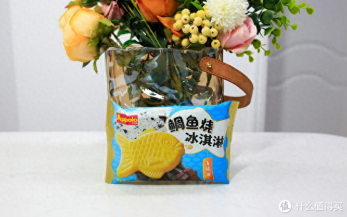 葡萄雪糕品牌排名前十(雪糕品牌top10)插图11