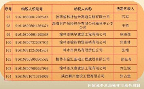 榆林企业税收排名前十(咸宁企业纳税排行)插图10