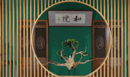 汕头傣味餐厅排名前十(西双版纳最好傣味餐厅)插图6