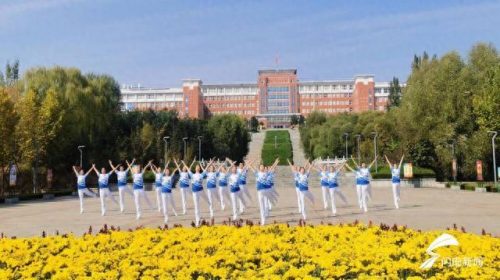 莱芜体操学校排名前十(体操学校全国排名)插图