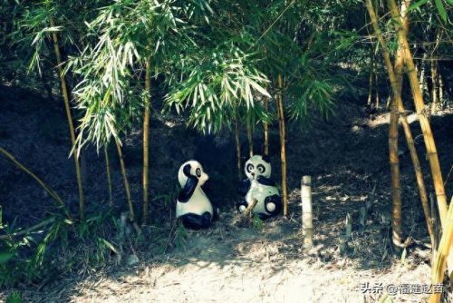 厦门各区公园排名前十(厦门公园预约公众号)插图11