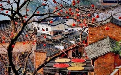 宁波郊游景区排名前十(宁波景区封闭通知)插图32