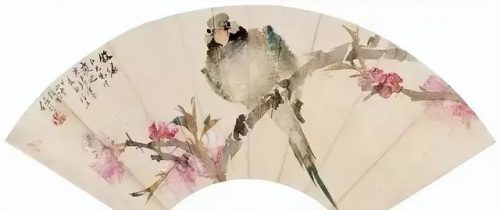鹦鹉荔枝品种排名前十(最聪明的鹦鹉排名)插图
