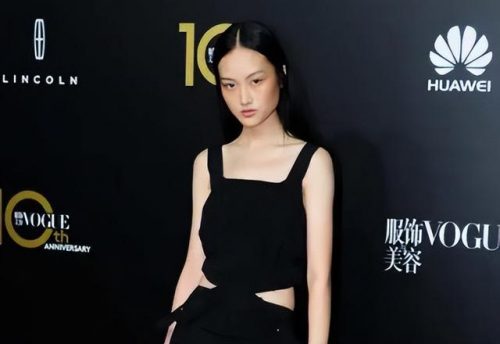中国超模热门排名前十(中国最厉害的超模)插图9