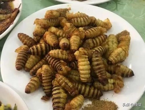 庄河推荐饭店排名前十(庄河比较有特色的饭店)插图18