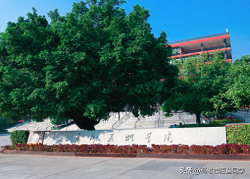 美术排名前十的大学(美术类大学排名一览表)插图3