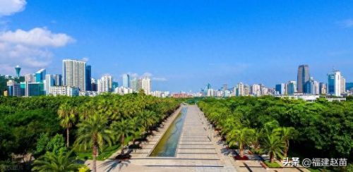 厦门各区公园排名前十(厦门公园预约公众号)插图7