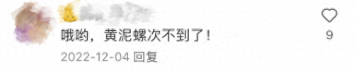 古镇商场美食排名前十(珑园古镇美食)插图