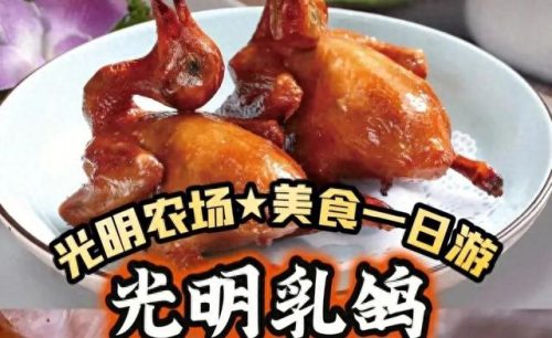 沙头高档饭店排名前十(国营十大酒家排名)插图1
