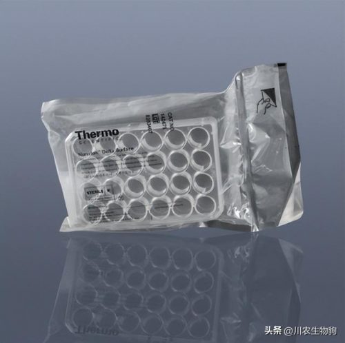 丹麦耗材公司排名前十(中国十大医疗器械公司)插图3