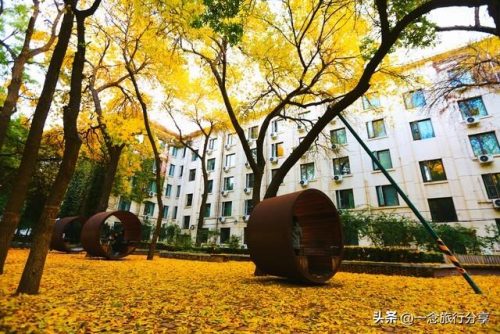 校园旅游规模排名前十(游客比学生多的大学)插图5