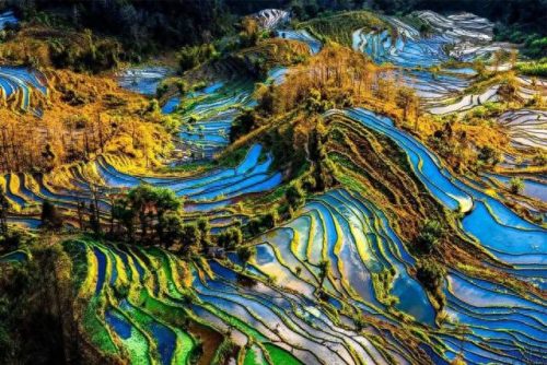 中国国土景观排名前十(油管评论中国国土面积)插图81