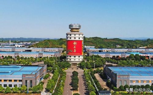 武汉白酒体量排名前十(武汉本地白酒)插图