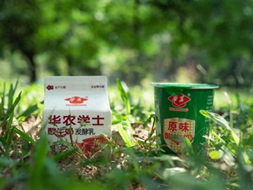 国内超市酸奶排名前十(超市酸奶品牌大全)插图4