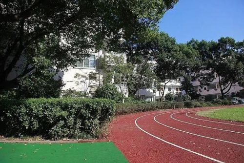 华坪私立小学排名前十(花都私立小学排名榜)插图3
