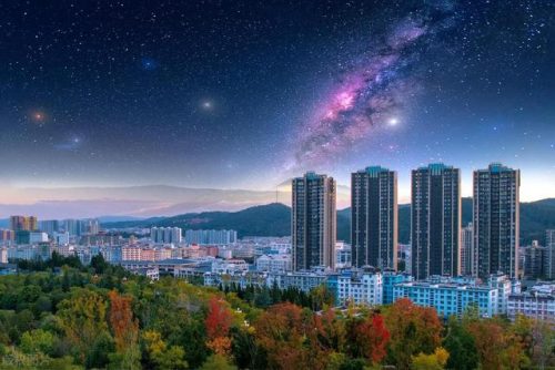 武定咨询公司排名前十(武定美食)插图