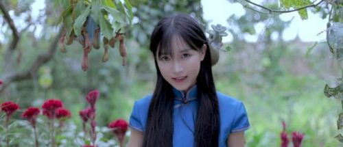 歌曲粉丝最多排名前十(中国歌手粉丝量排名)插图4
