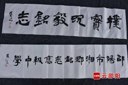 湖南最强画家排名前十(湖南画家邱松岚)插图14
